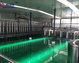 果蔬酵素加工生產(chǎn)線(xiàn) 生物制藥加工生產(chǎn)線(xiàn)